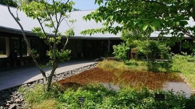 田窪恭治氏による水盤「感覚細胞」